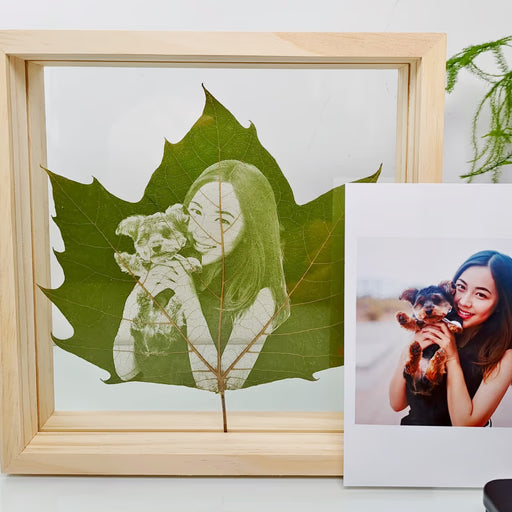 Engraved leaves with plastic frame